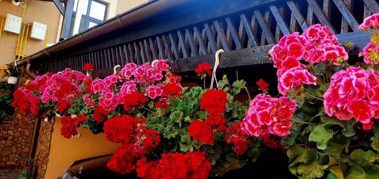 Casa Domneasca Rarau Hotel Câmpulung Moldovenesc Екстериор снимка