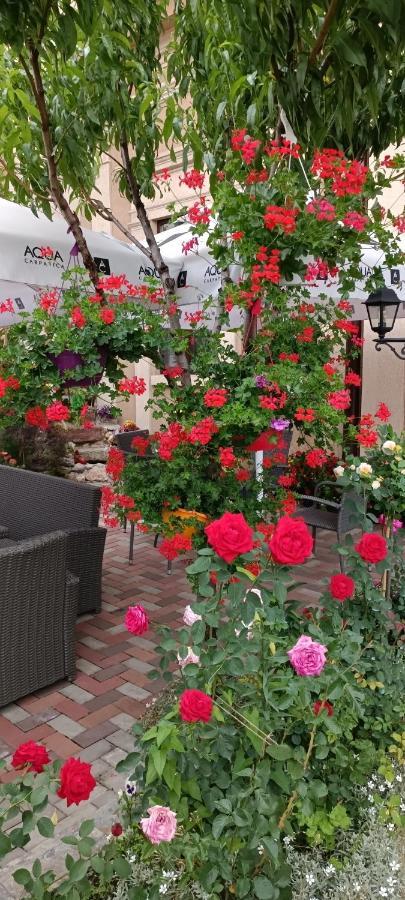 Casa Domneasca Rarau Hotel Câmpulung Moldovenesc Екстериор снимка