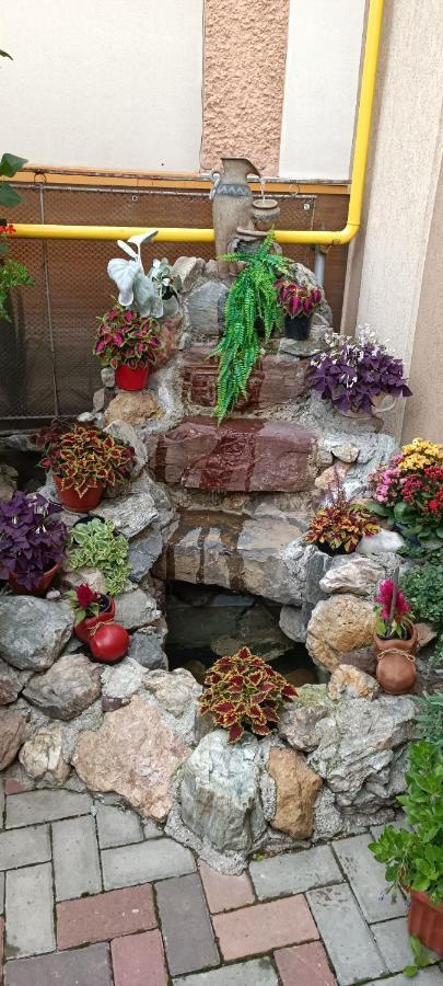 Casa Domneasca Rarau Hotel Câmpulung Moldovenesc Екстериор снимка